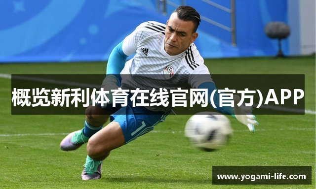 概览新利体育在线官网(官方)APP